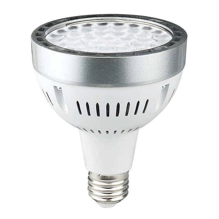 OSRAM Light Source PAR30 Spotings